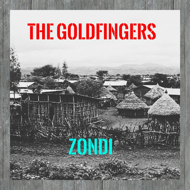 Zondi cover art