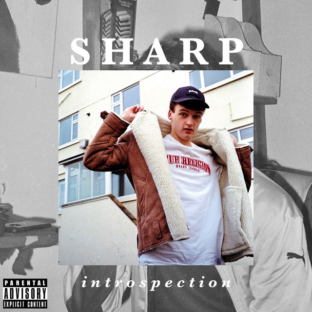 Introspection cover art