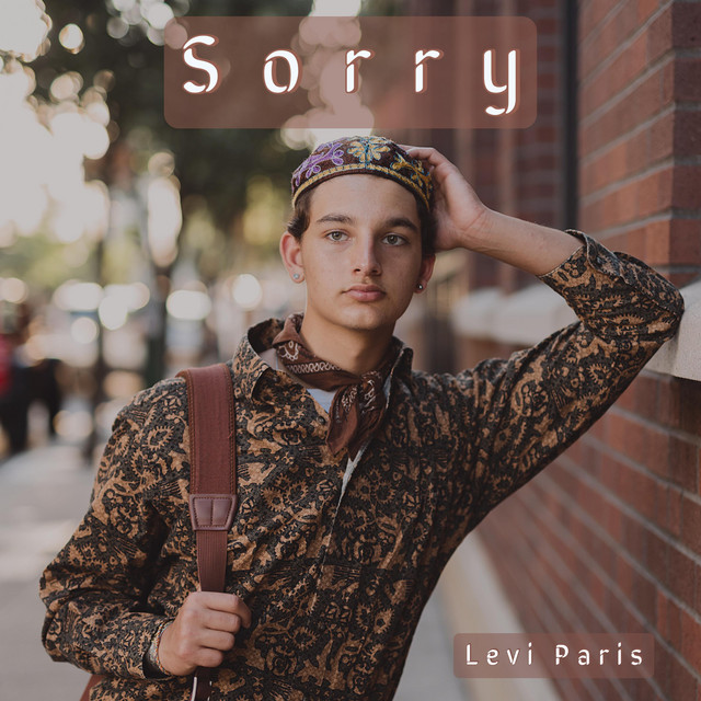 Sorry - Single by Levi Paris | Spotify