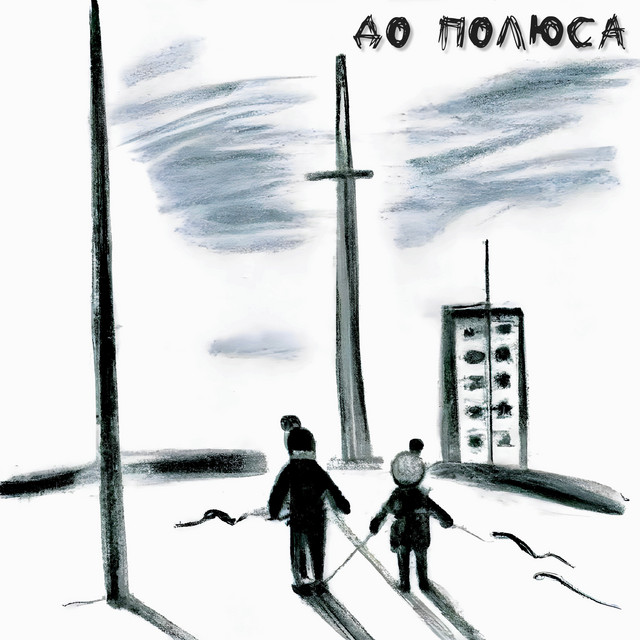 До полюса cover art