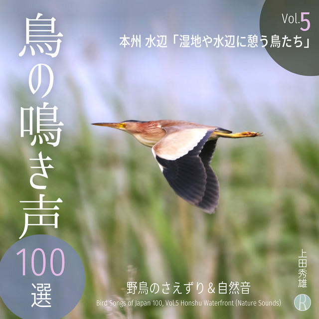 鳥の鳴き声 100選 Vol.5 本州 水辺 「湿地や水辺に憩う鳥たち」 野鳥の