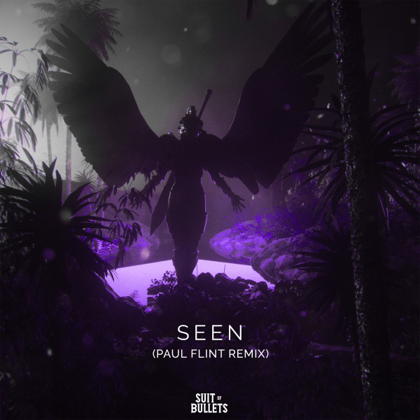 Seen (Paul Flint Remix)