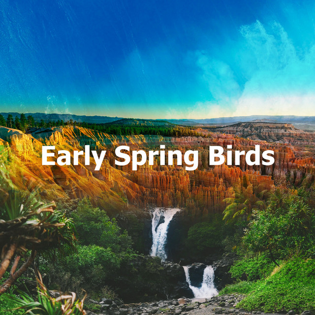Early Spring Birds - Album by Calming Sounds | Spotify