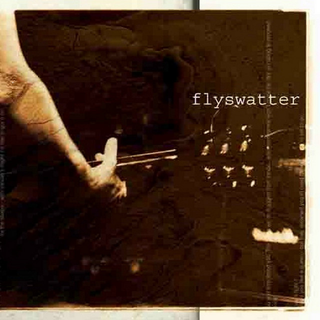 Flyswatter cover art