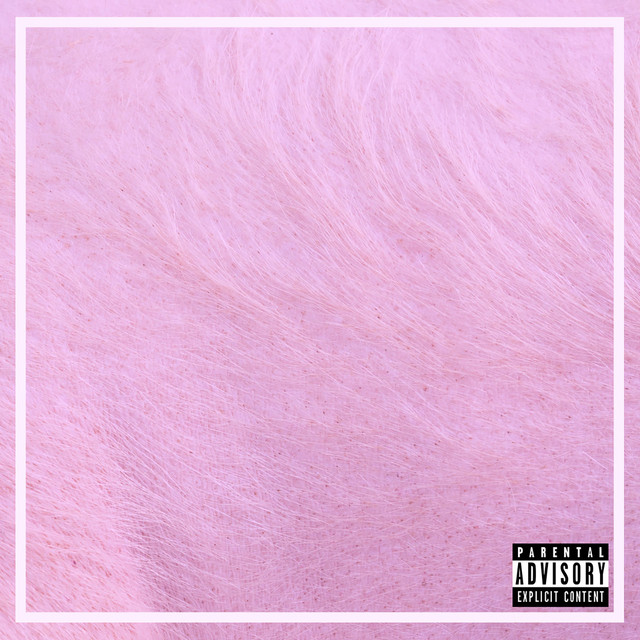 Pig cover art
