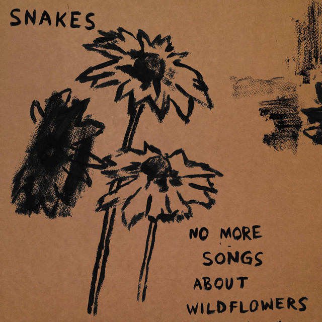 No More Songs About Wildflowers cover art