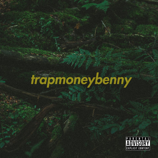 TrapMoneyBenny cover art