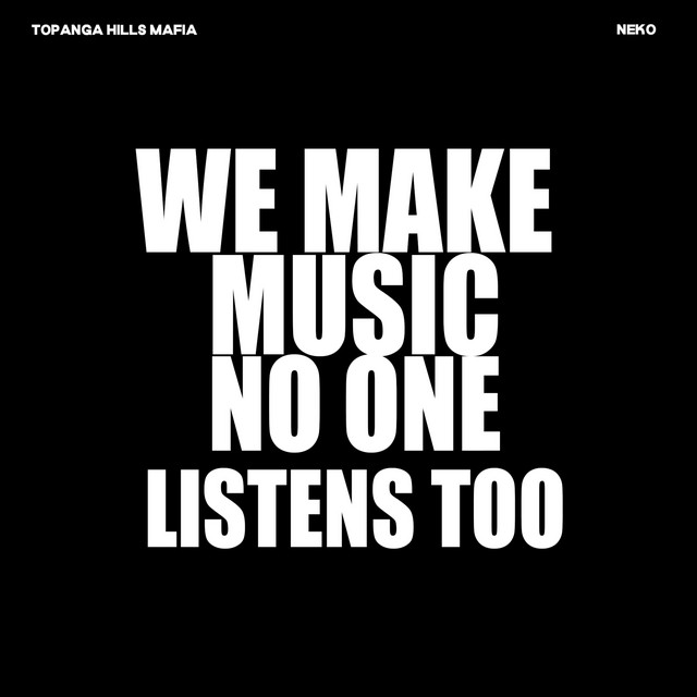 WE MAKE MUSIC NO ONE LISTENS TOO cover art