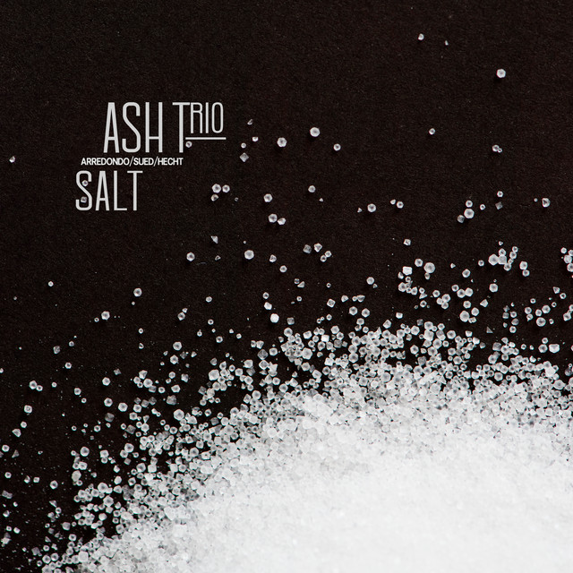 Salt cover art
