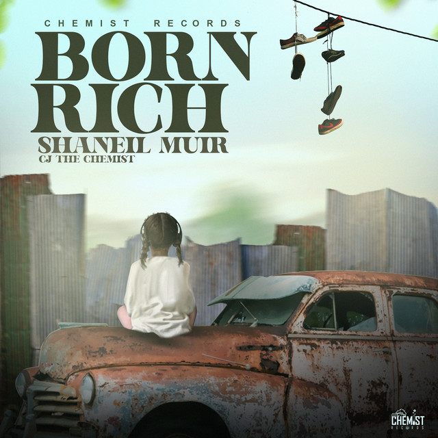 Artwork for Born Rich