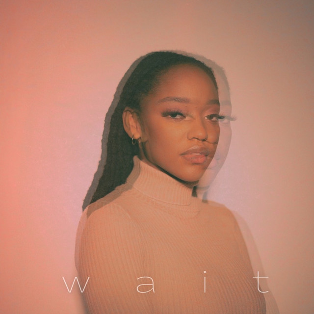 Wait cover art