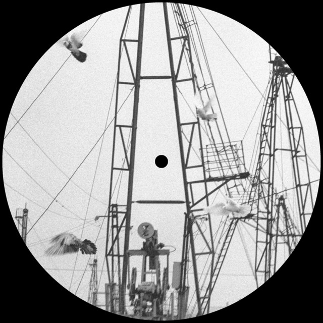 CQNZR. - Ohm
