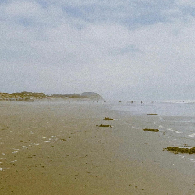 Shore