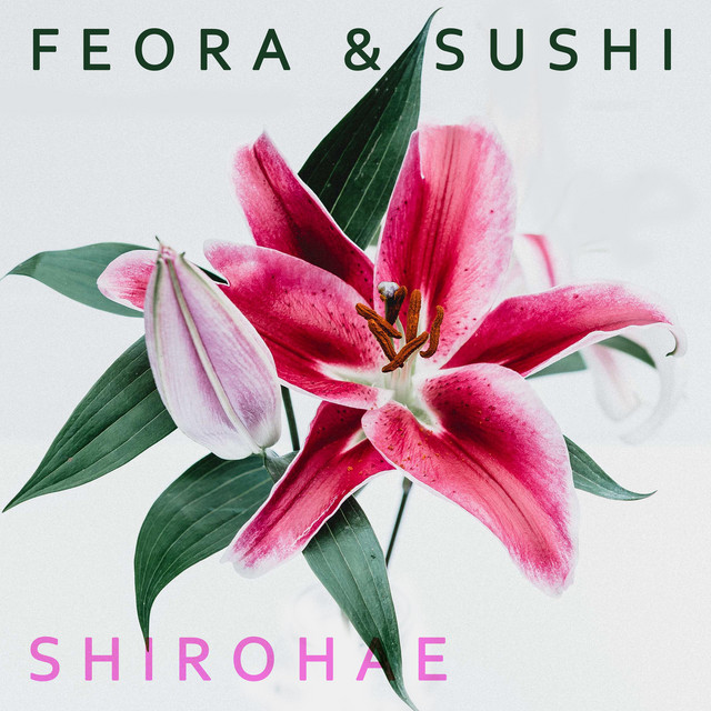 Shirohae