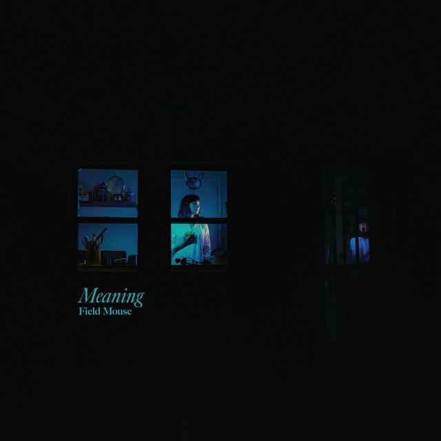 Meaning cover art