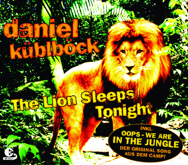The Lion Sleeps Tonight cover