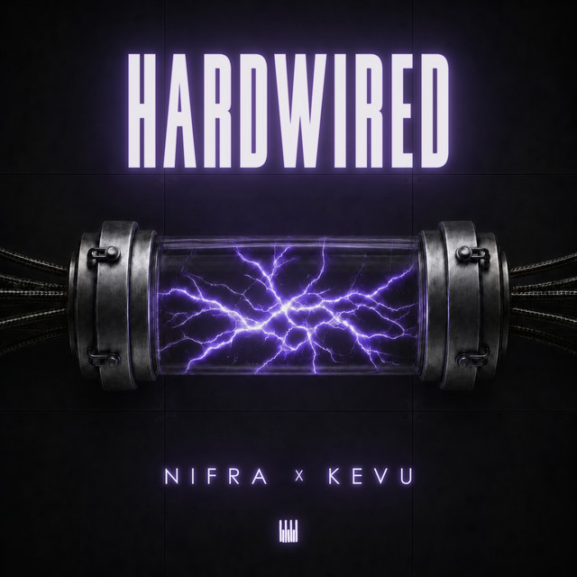 Hardwired - Extended Mix album art