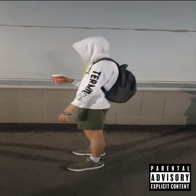 Mr.hitmecer cover art