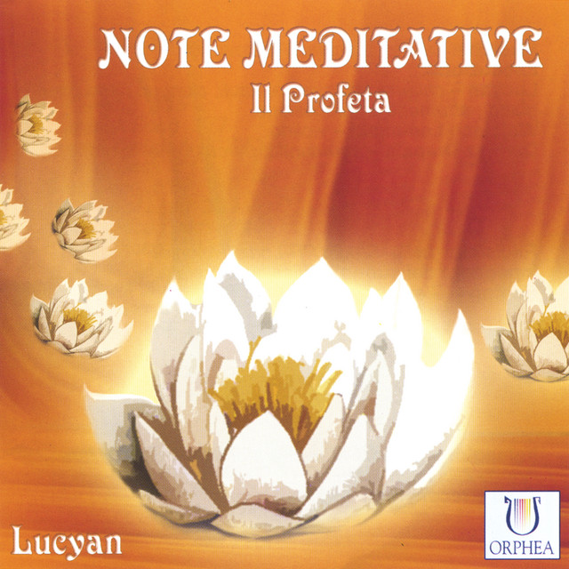 Note Meditative - Il Profeta cover art