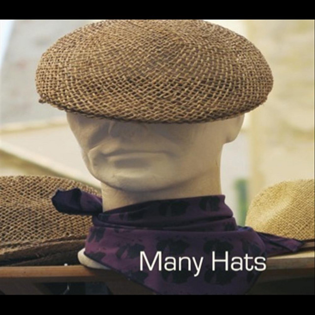Chapter 40 (feat. Robin Rorie) - song and lyrics by Many Hats | Spotify