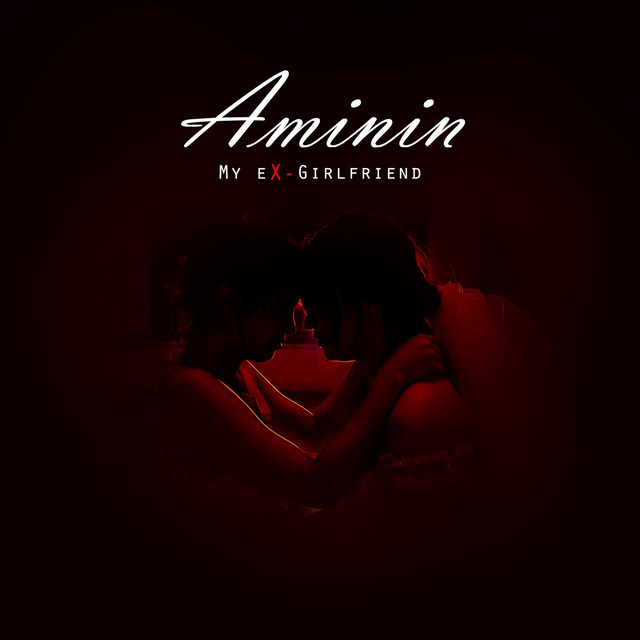 Aminin cover