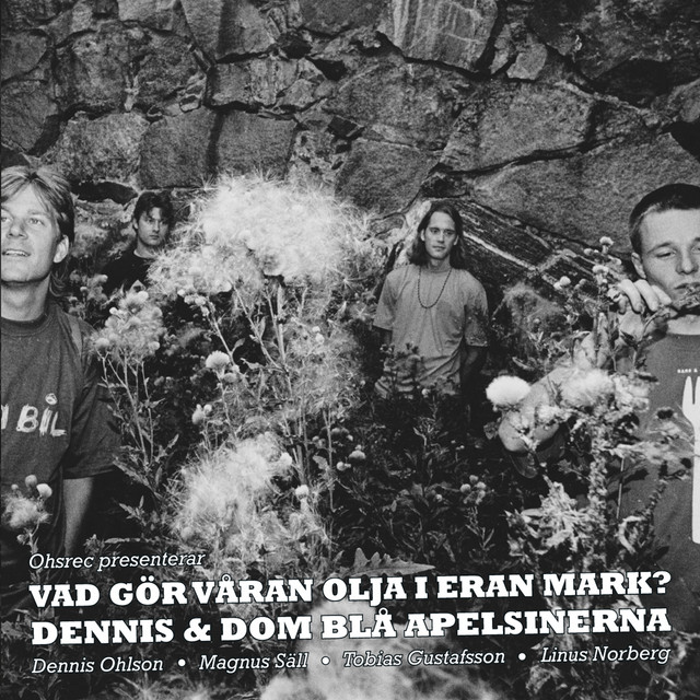 Dennis & Dom Blå Apelsinerna photo