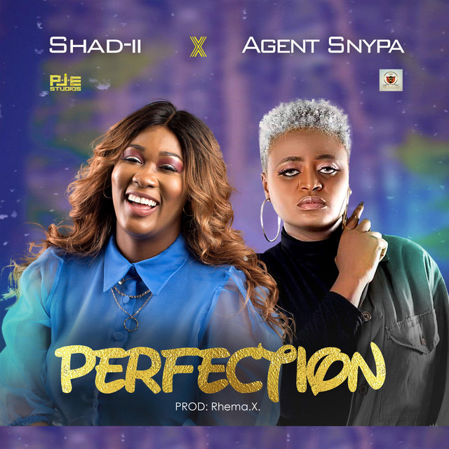 Perfection - Single by Shad-ii | Spotify