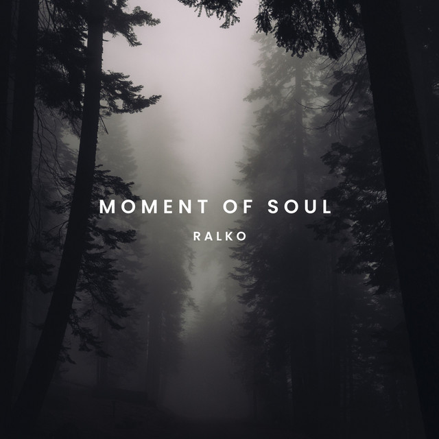 Обкладинка: Moment of Soul — Ralko
