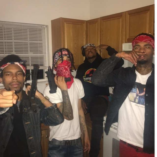 Trip cover art