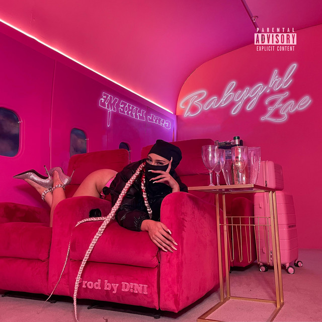B!RKY BAG cover art
