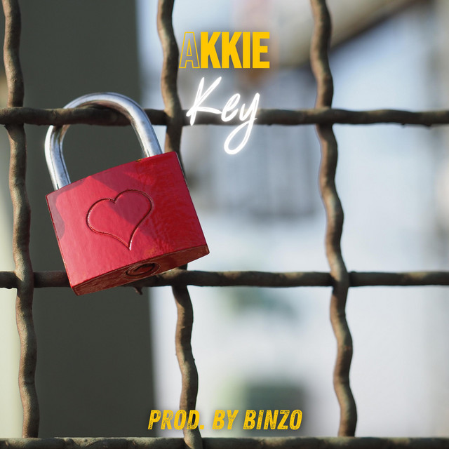 Key cover