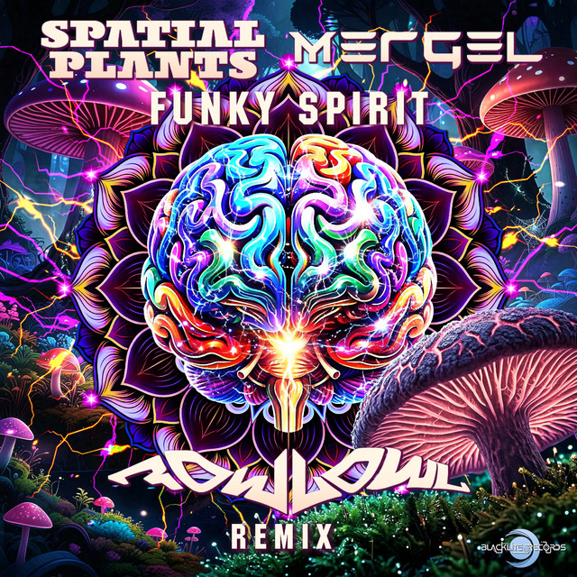 Funky Spirit - FowlOwl Remix album art