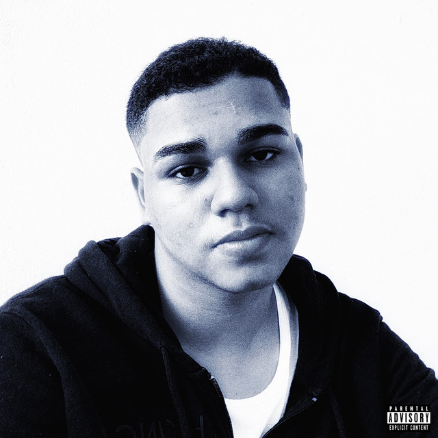 Desculpa Ser Assim cover art