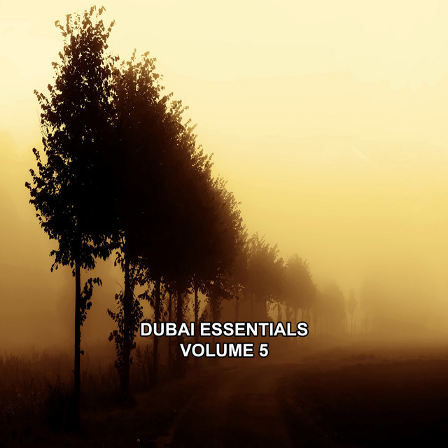 Dubai Essentials, Vol. 5 cover