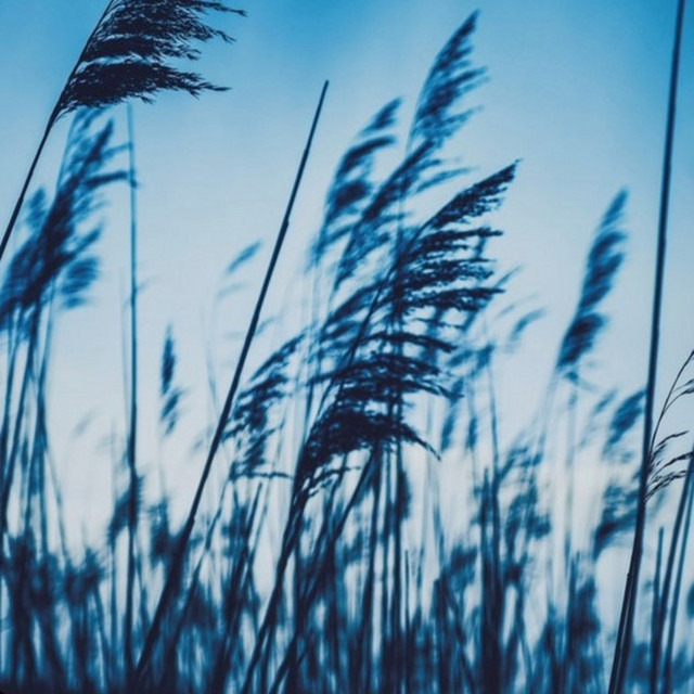 Breezing cover art