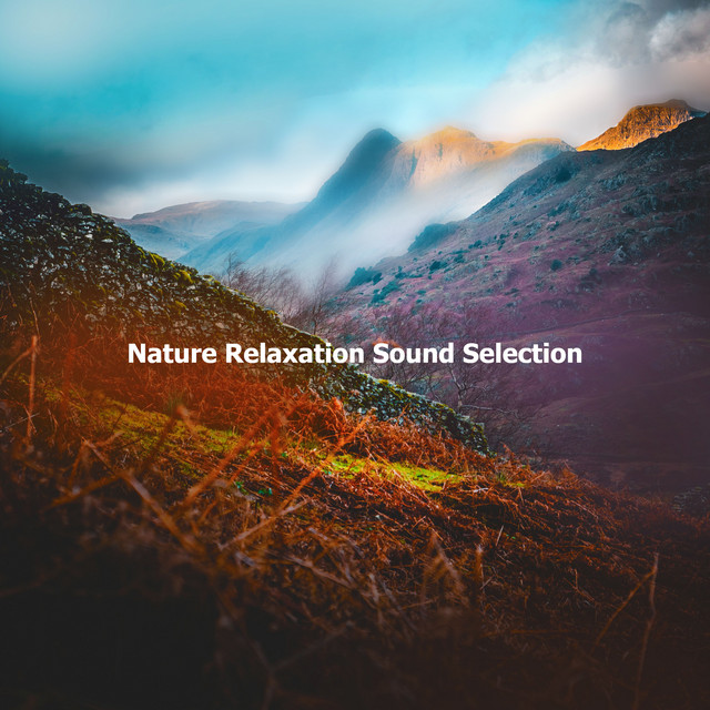 Nature Relaxation Sound Selection ! ! ! ! ! - Album by Rest & Relax ...