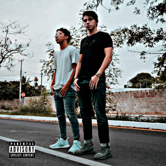 Llama cover art