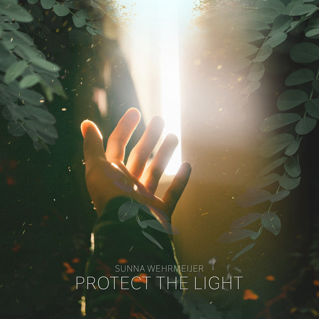 Protect The Light cover art