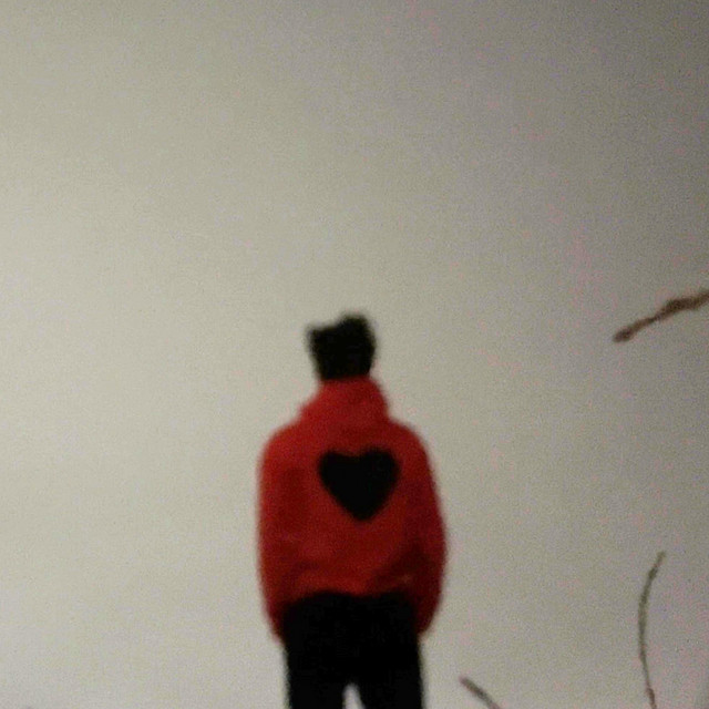 i saw a flower and it made me think of you cover art