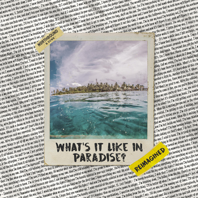 What's It Like In Paradise? (Reimagined) cover
