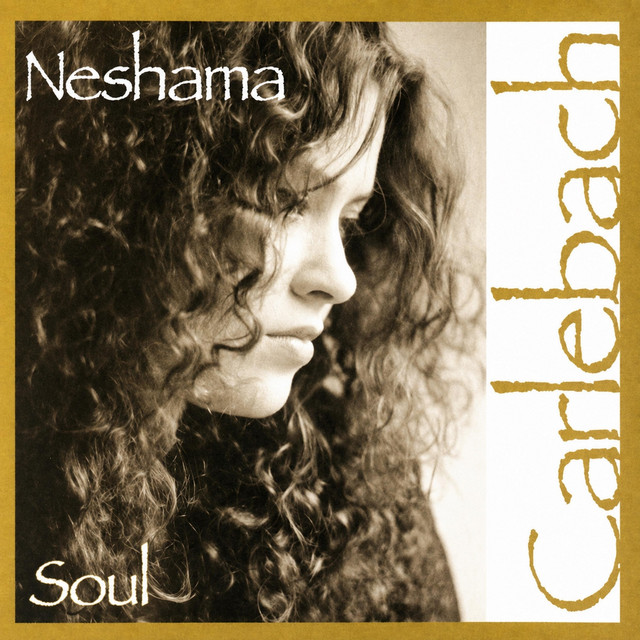 Soul cover