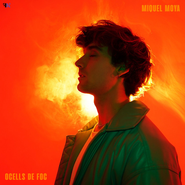 Ocells De Foc cover art