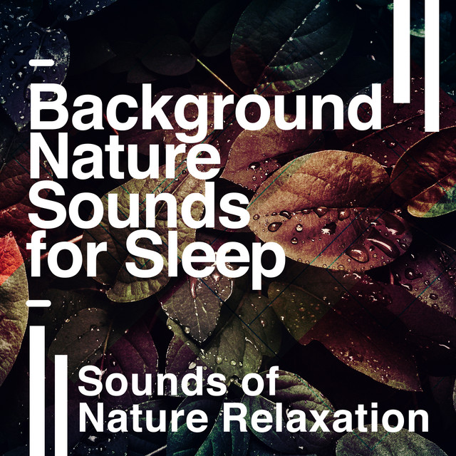 Background Nature Sounds for Sleep - Album by Sounds of Nature ...