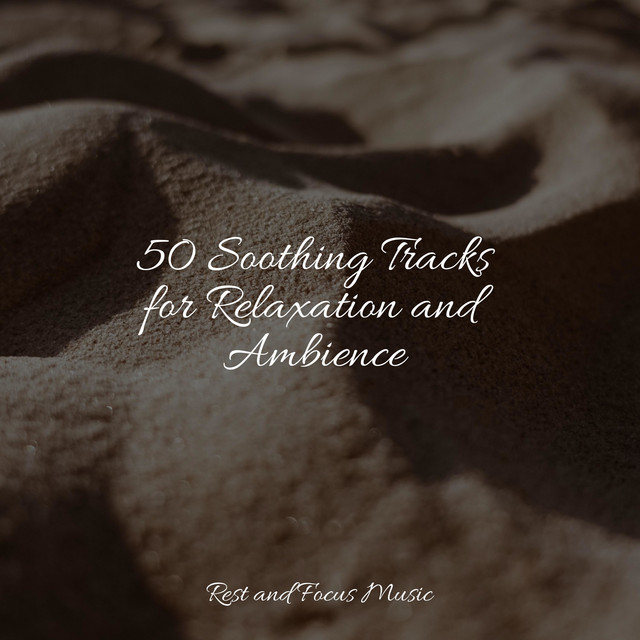 50 Soothing Tracks for Relaxation and Ambience - Album by Relaxing Spa ...