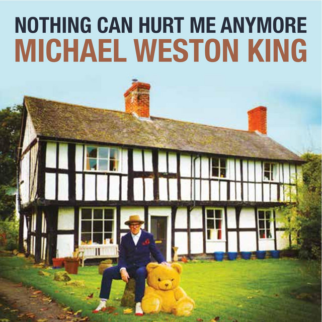Nothing Can Hurt Me Anymore cover art