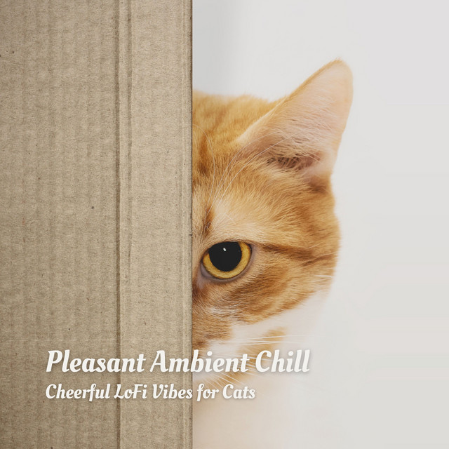 Pleasant Ambient Chill: Cheerful LoFi Vibes for Cats cover art