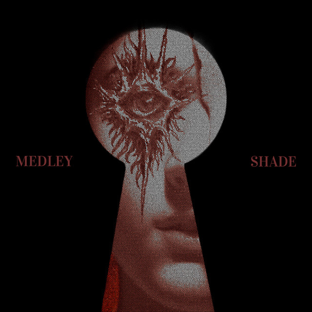 Обкладинка: Is This Real Life? — MEDLEY SHADE