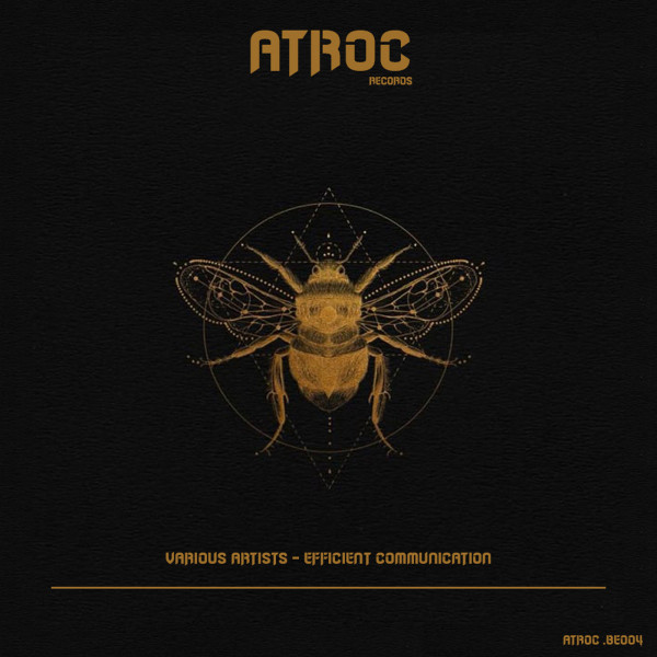 Efficient Communication cover art