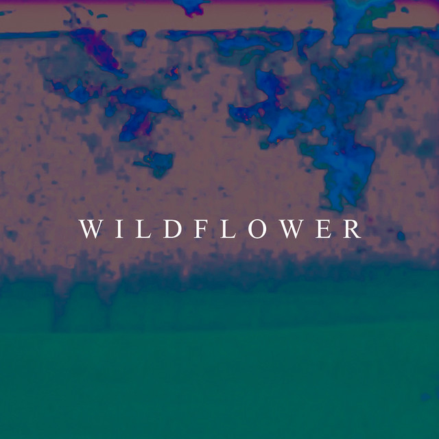Wildflower cover art