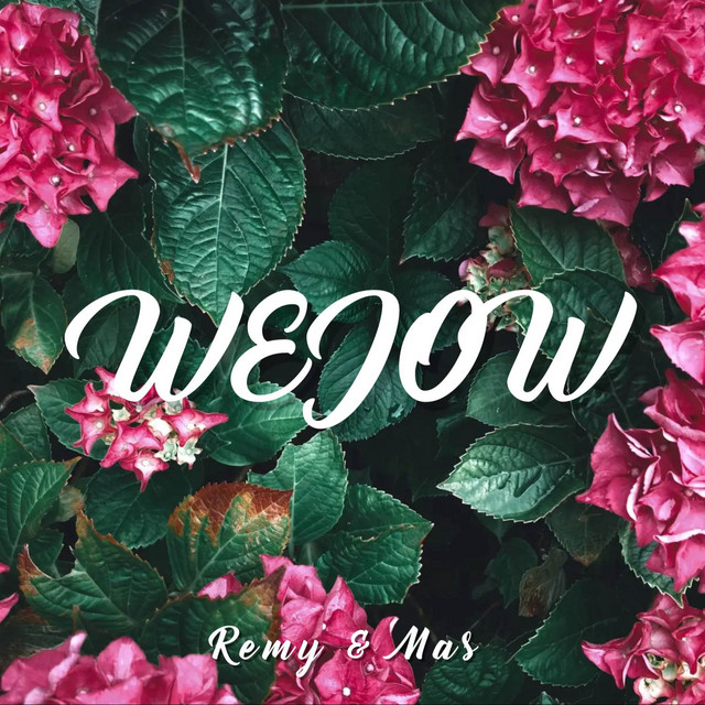 Cover of Wejow by Mas